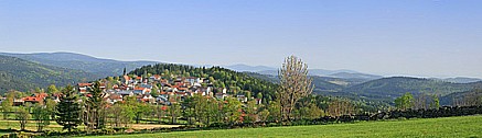 Blick auf Häuser auf Hügel im Bayerischen Wald