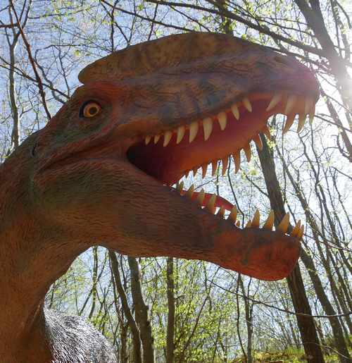 Dinosaurierpark Teufelsschlucht Dilophosaurus2 