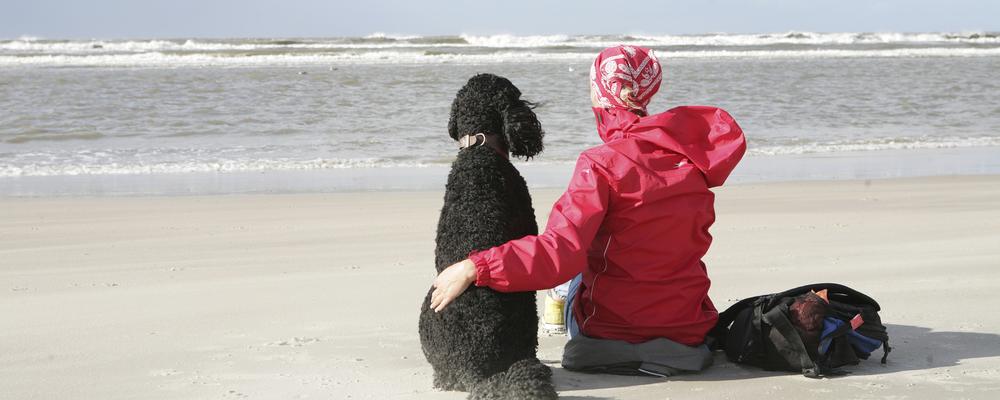 Hund + Frau am Holland-Strand