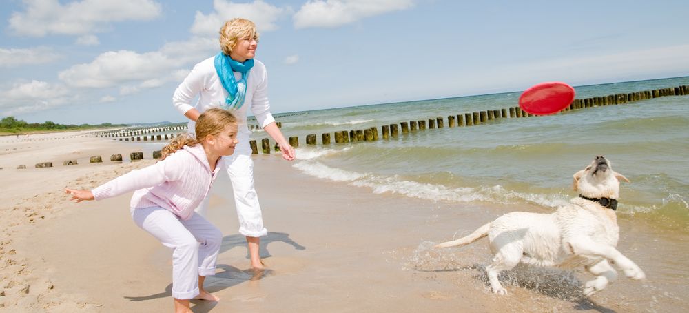 Ferienhaus-Urlaub nah zum Strand mit Kind + Hund