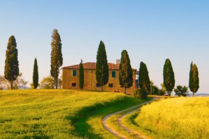 Hunde-Ferienhaus am Feld in der Toskana