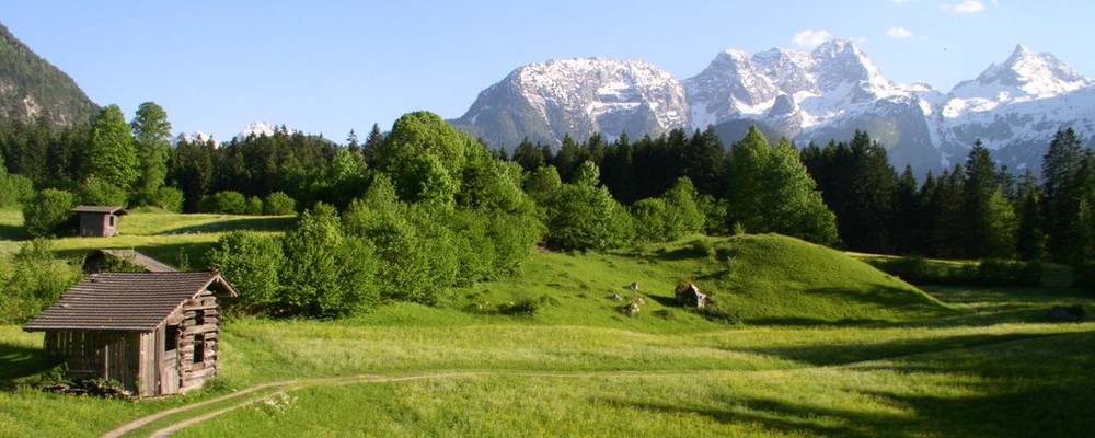 Hütte, Wiese mit Bergen im Salzburger Land