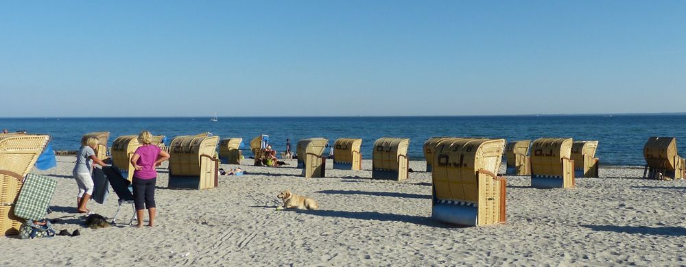 Hunde im Urlaub an Strand-Promenade